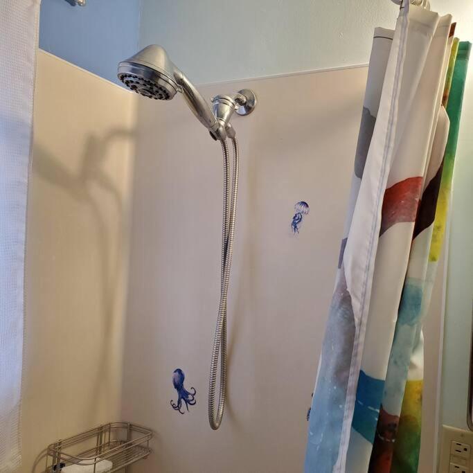 Sweet 2 Bedroom Close To U Of Oregon & Track! 유진 외부 사진